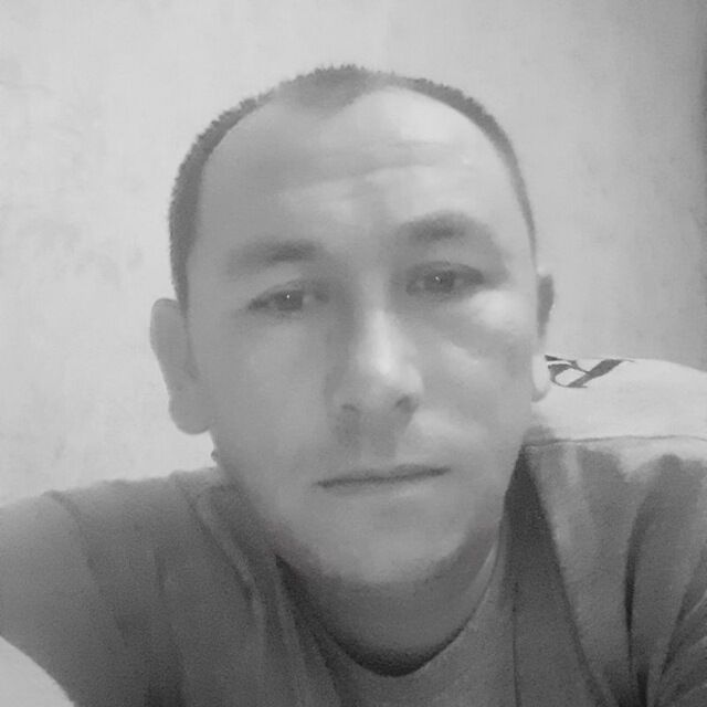  41181487  , 37 ,    