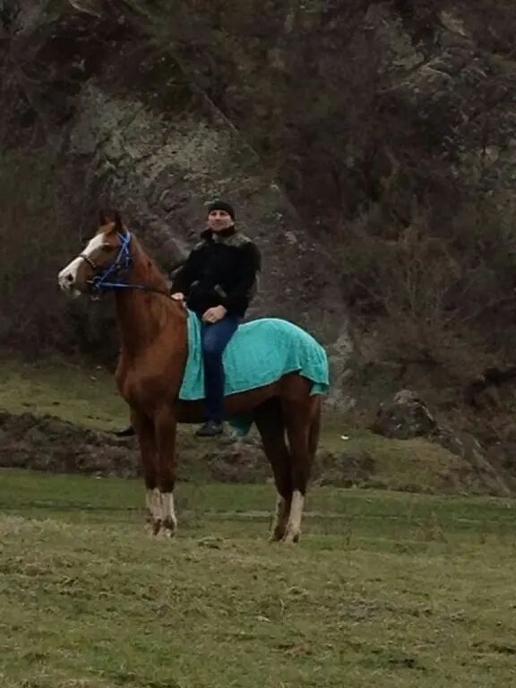 ���������� ����, ���� ������� �����, 40 ���, ������������ ��� ������, ����� � ���������