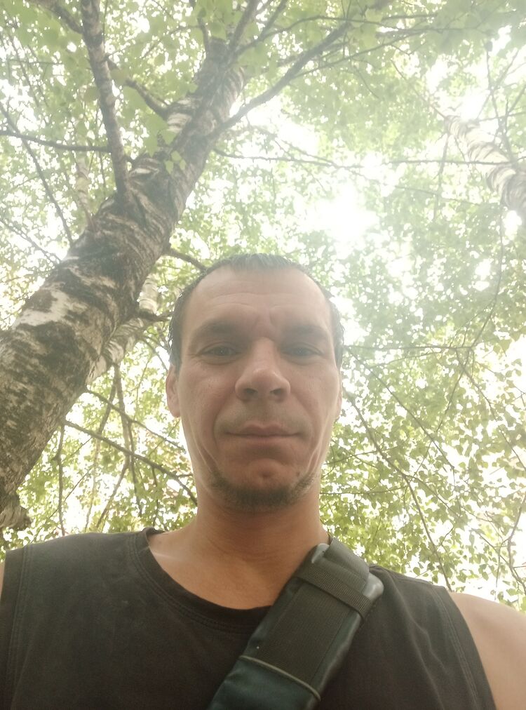  52974947  , 40 ,    