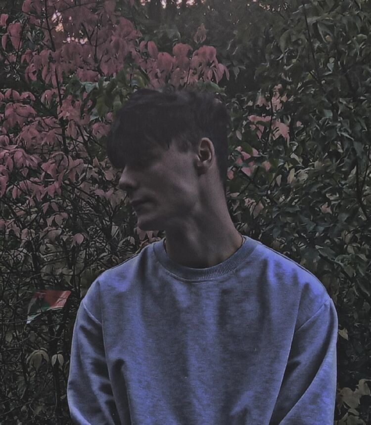 ���� 55311077 ����� ����, 21 ���, ���� ���������� � �������