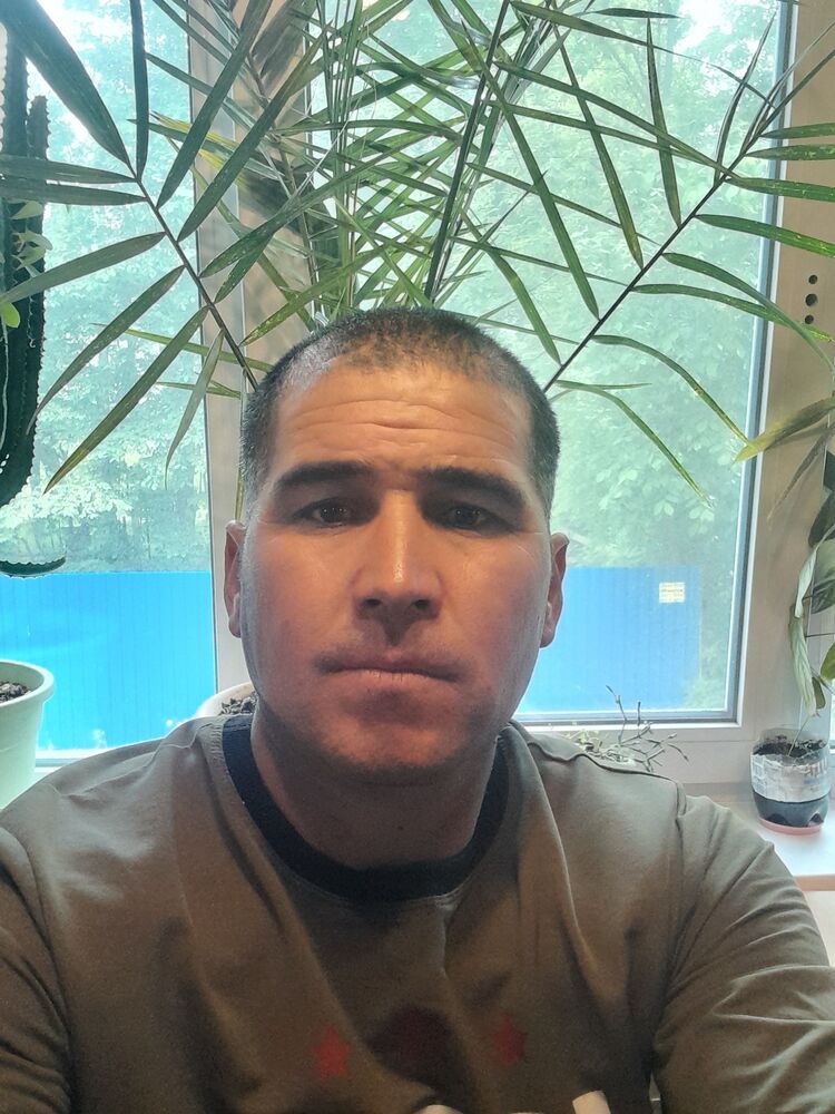  45419787  , 42 ,    