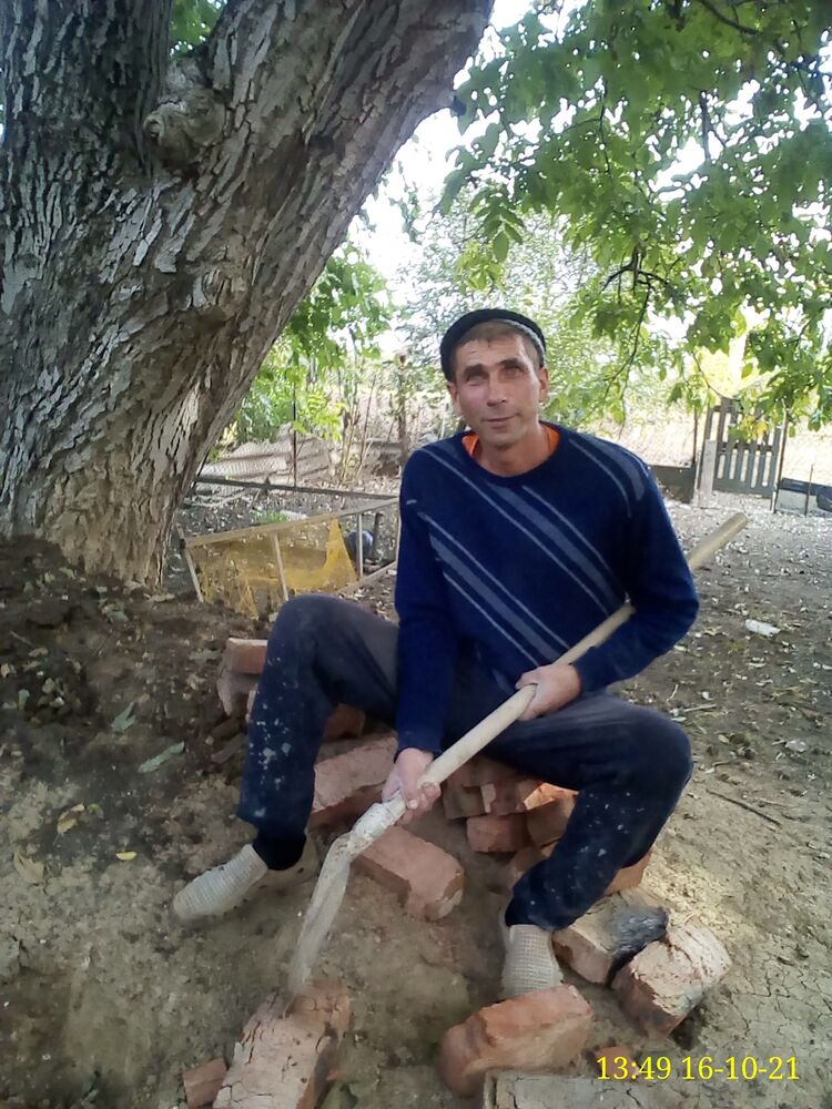  24292957  , 44 ,    