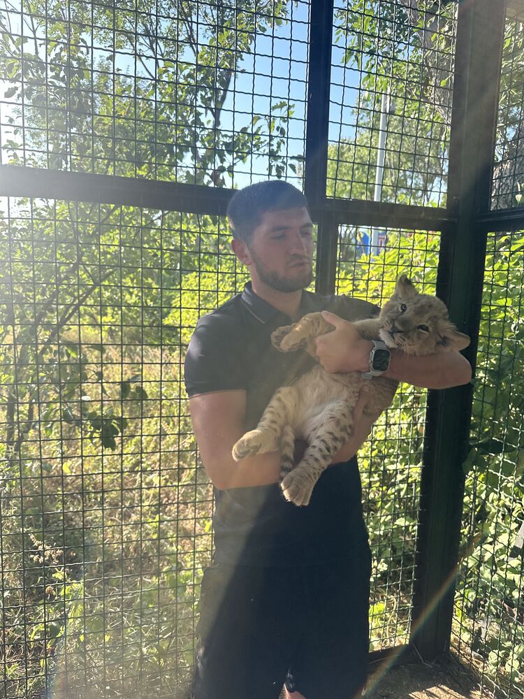 ���� 56190117 ������� ����, 33 ����, ���� ���������� � ������