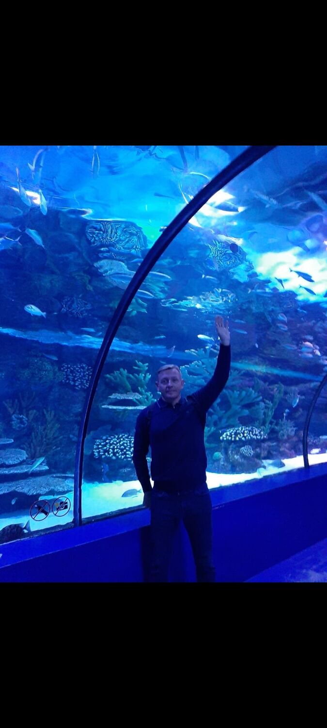 ���������� ������, ���� ������� �����, 41 ���, ������������ ��� ������, ����� � ���������