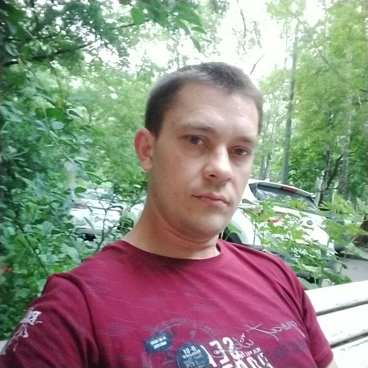  45611937  , 31 ,     