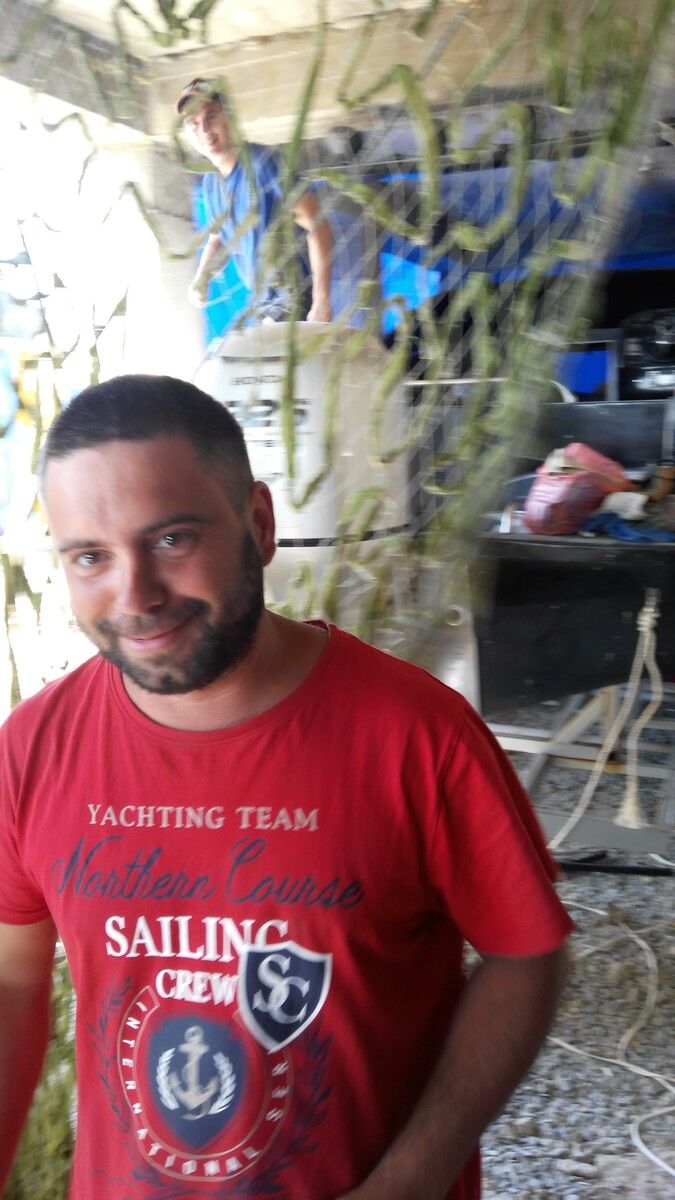 ���������� �����������, ���� ������� �����, 43 ����, ������������ ��� ������, ����� � ���������, c�������� ���������