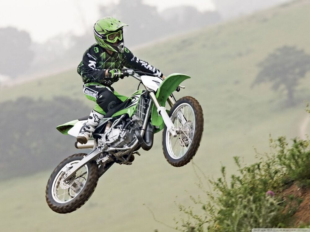 ���������� ���������, ���� ������� ����, 38 ���, ������������ ��� ����� � ���������, c�������� ���������