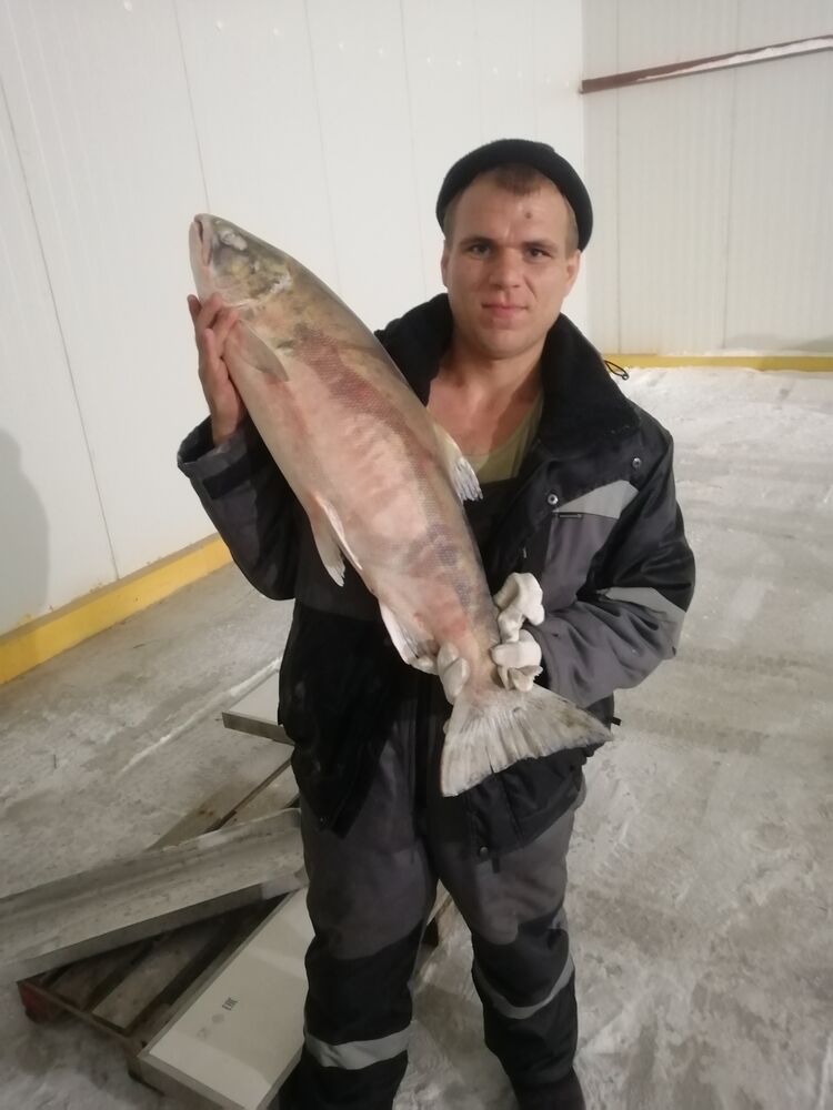 ���������� ����-���������, ���� ������� �����, 32 ����, ������������ ��� ������, ����� � ���������, c�������� ���������, ���������