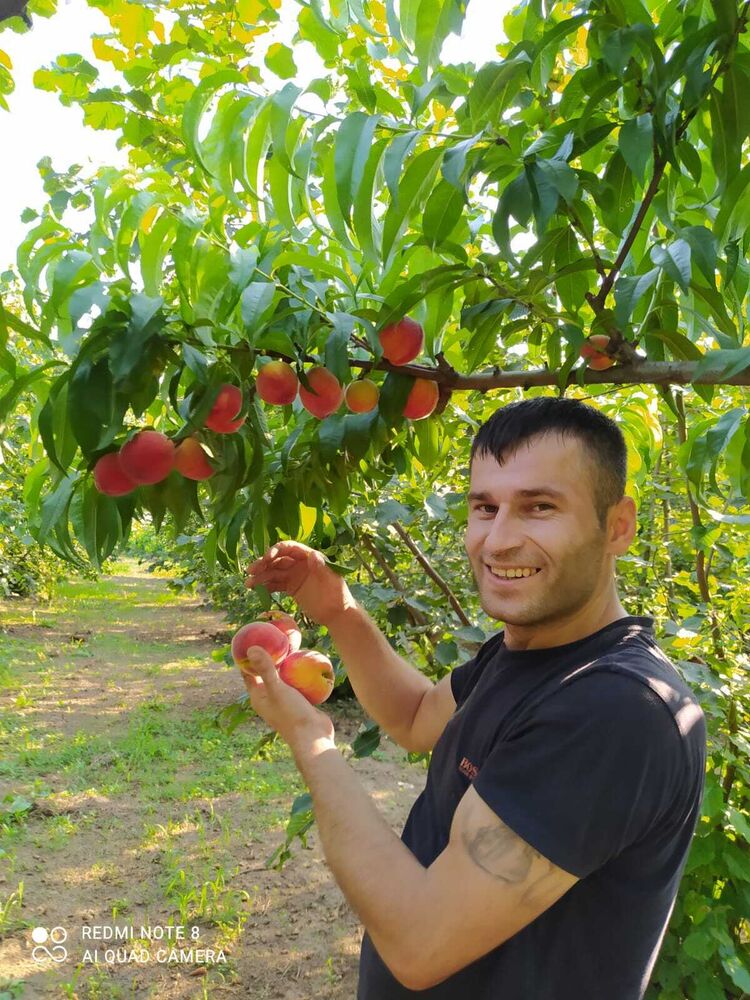  ,   Umut, 37 ,   ,   