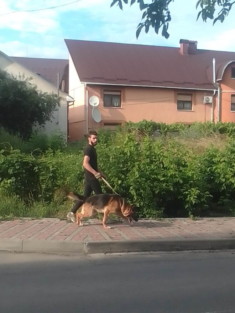  35623937  Vova, 26 ,    