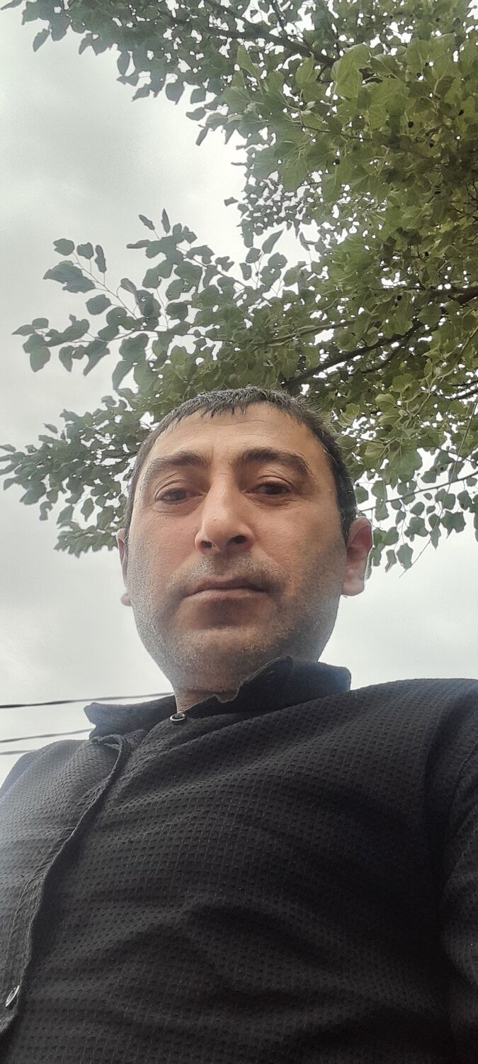  49567787  , 44 ,    