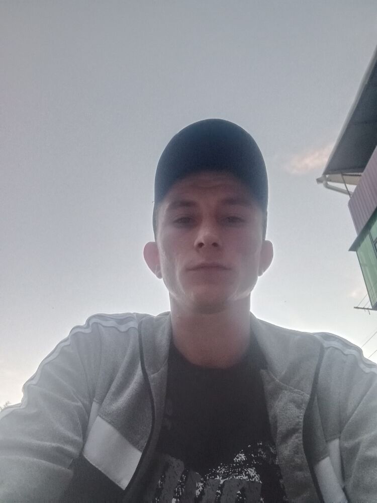  31253827  , 29 ,    
