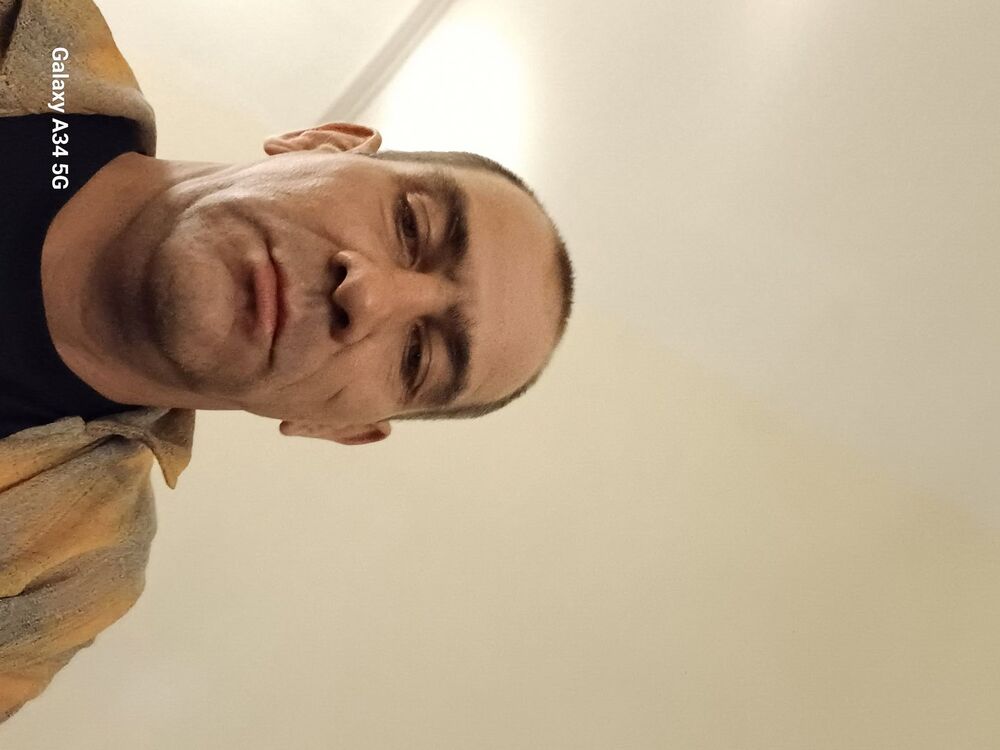  53419637  , 42 ,    -