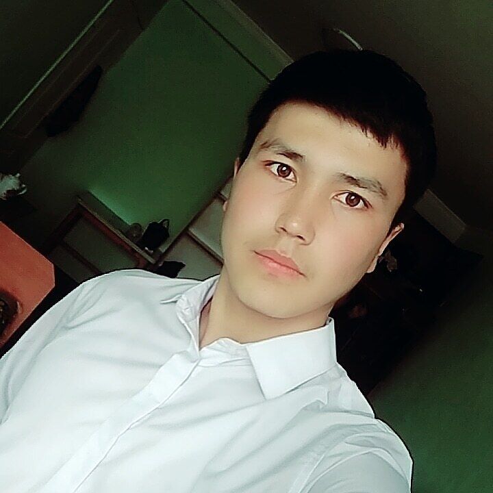  50939077  , 24 ,    -
