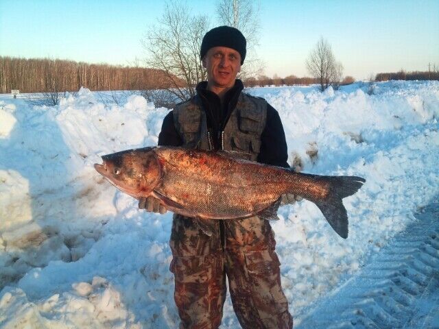 ���������� ����, ���� ������� Konstantin, 51 ���, ������������ ��� ������