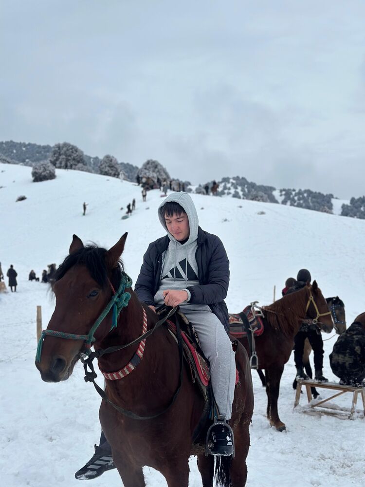 ���������� ��, ���� ������� ���, 29 ���, ������������ ��� ������, ����� � ���������