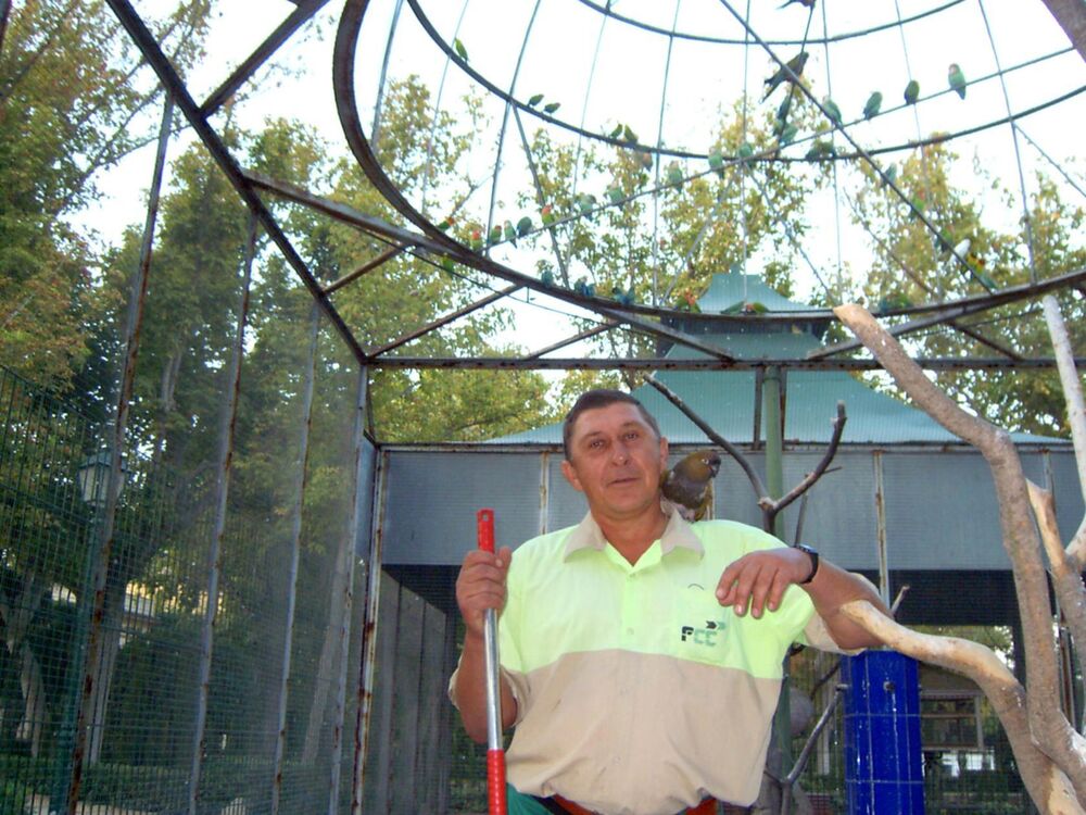  23465627  Valeriy, 64 ,    