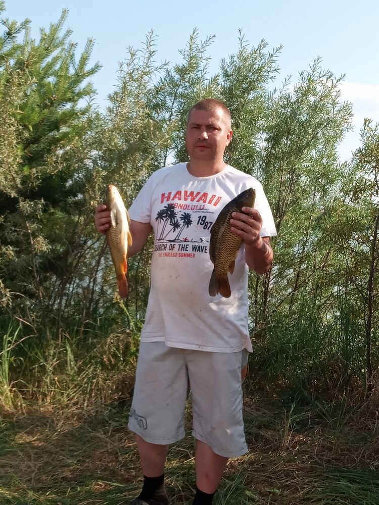 ���� 33381107 ������� �������, 39 ���, ���� ���������� � ��������