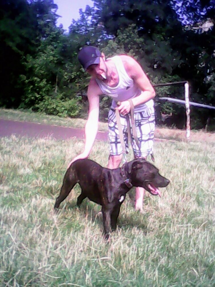 ���� 22138427 ������� ��������, 39 ���, ���� ���������� � �������