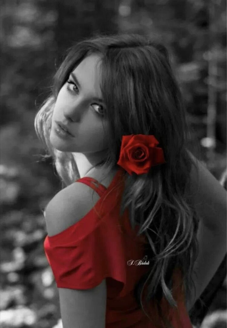 ���������� ������, ���� ������� �����, 48 ���, ������������ ��� ����� � ���������, c�������� ���������