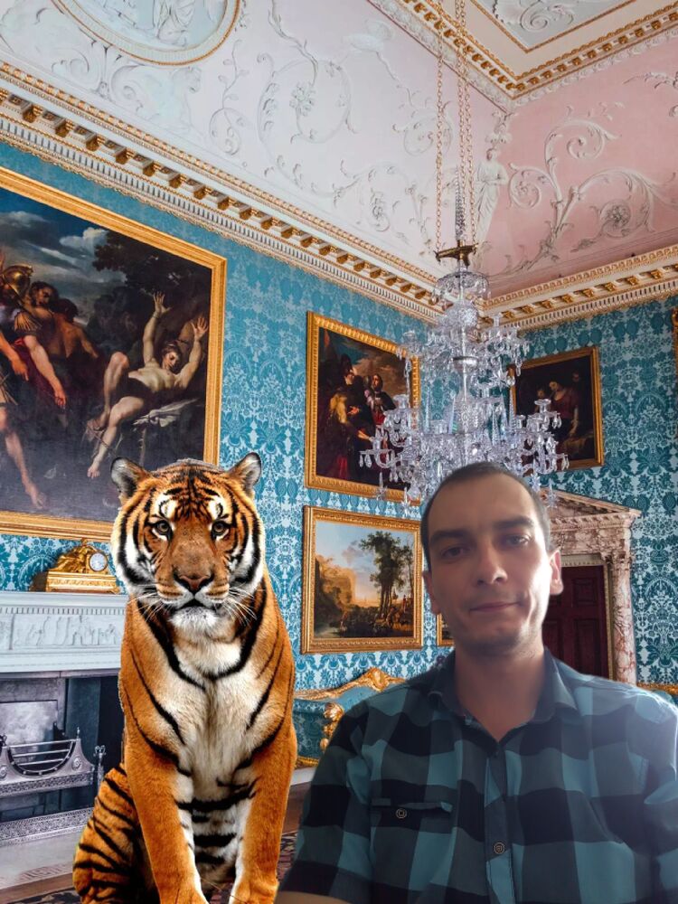 ���������� ���, ���� ������� ����, 36 ���, ������������ ��� ������, ����� � ���������, c�������� ���������