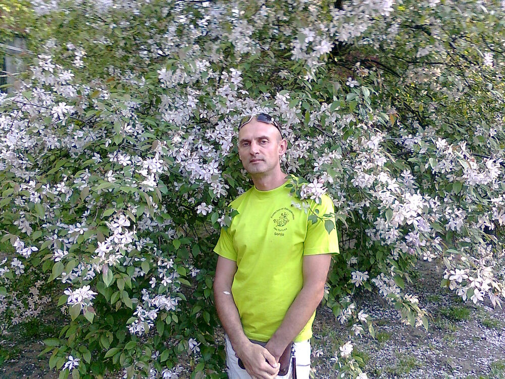  ,   , 58 ,  