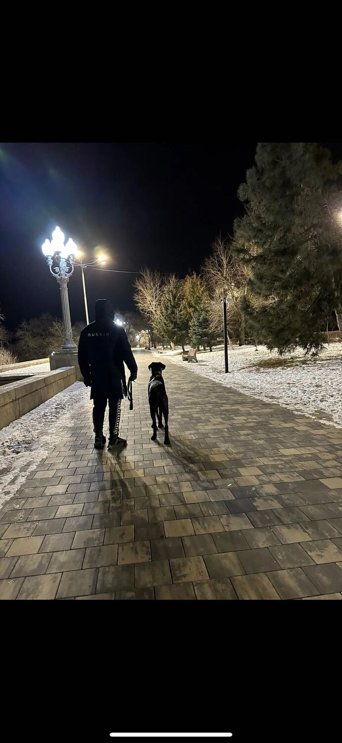 ���������� ���������, ���� ������� ���������, 41 ���, ������������ ��� ������, ����� � ���������, c�������� ���������