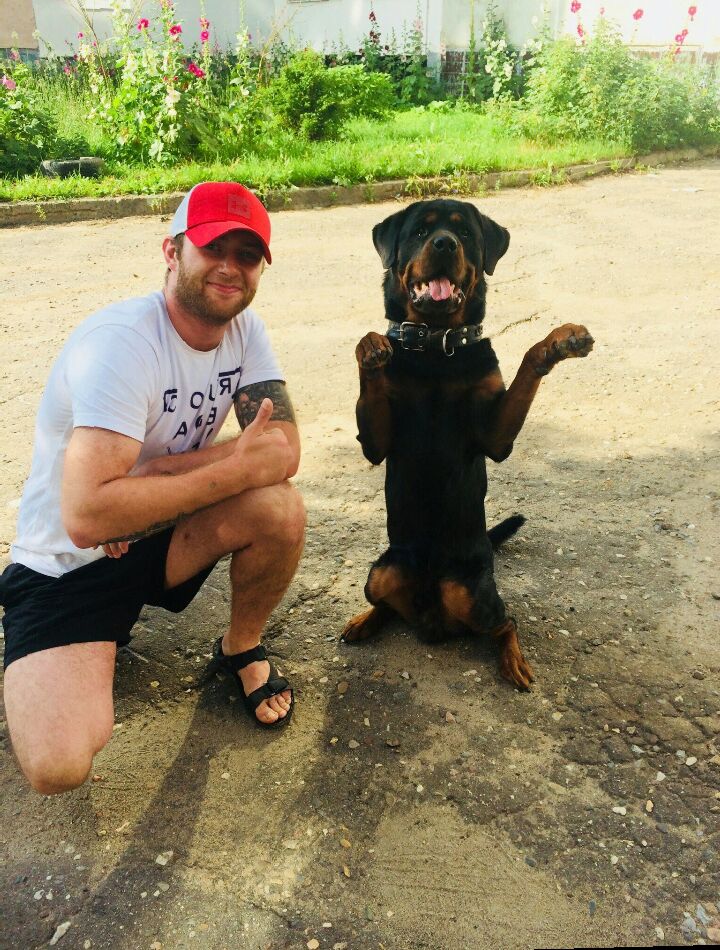 ���������� ���������, ���� ������� Kirill, 35 ���, ������������ ��� ����� � ���������, c�������� ���������