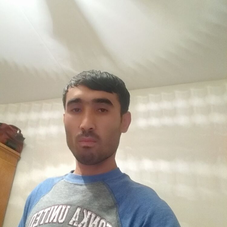 ���� 24905207 ������� �������, 33 ����, ���� ���������� � �����-����������