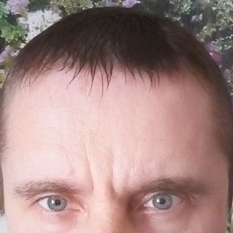 ���� 25829907 ������� ���������, 50 ���, ���� ���������� � �������