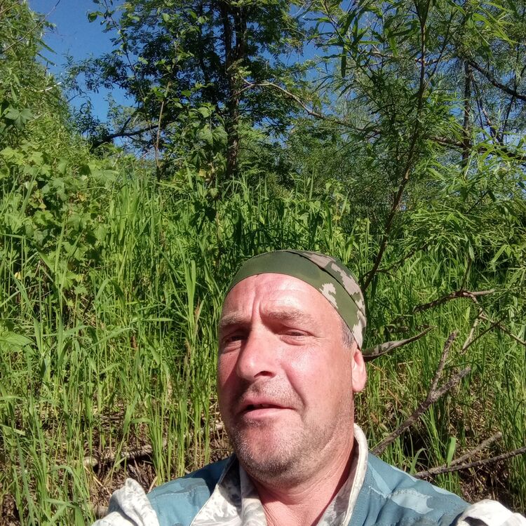  47654557  , 46 ,    