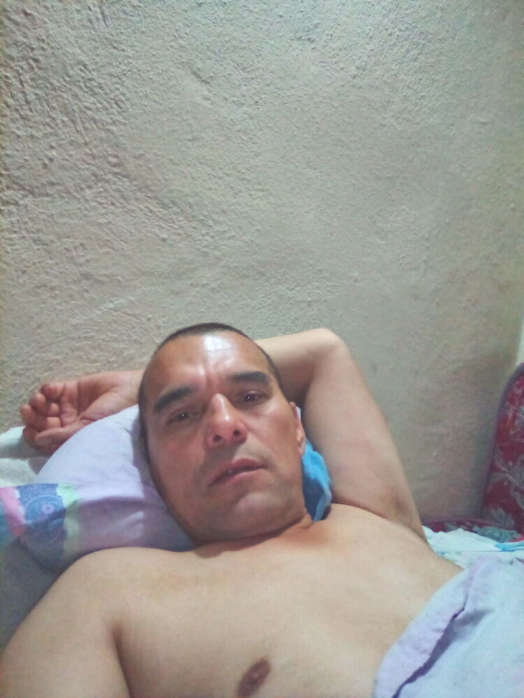  20295547  , 47 ,    