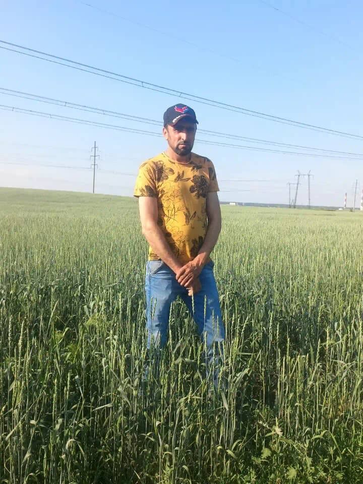  -,   , 43 ,   ,   