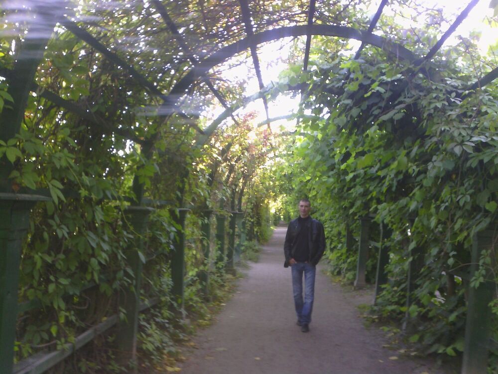 ���������� �����-���������, ���� ������� �����, 41 ���, ������������ ��� ����� � ���������, c�������� ���������