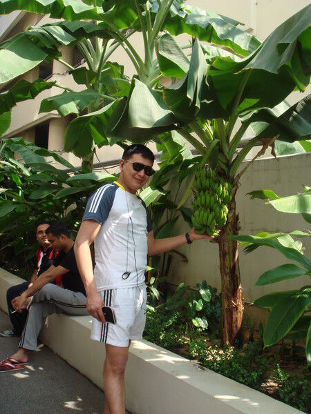 ���� 4506887 ������� �����, 42 ����, ���� ���������� � ������