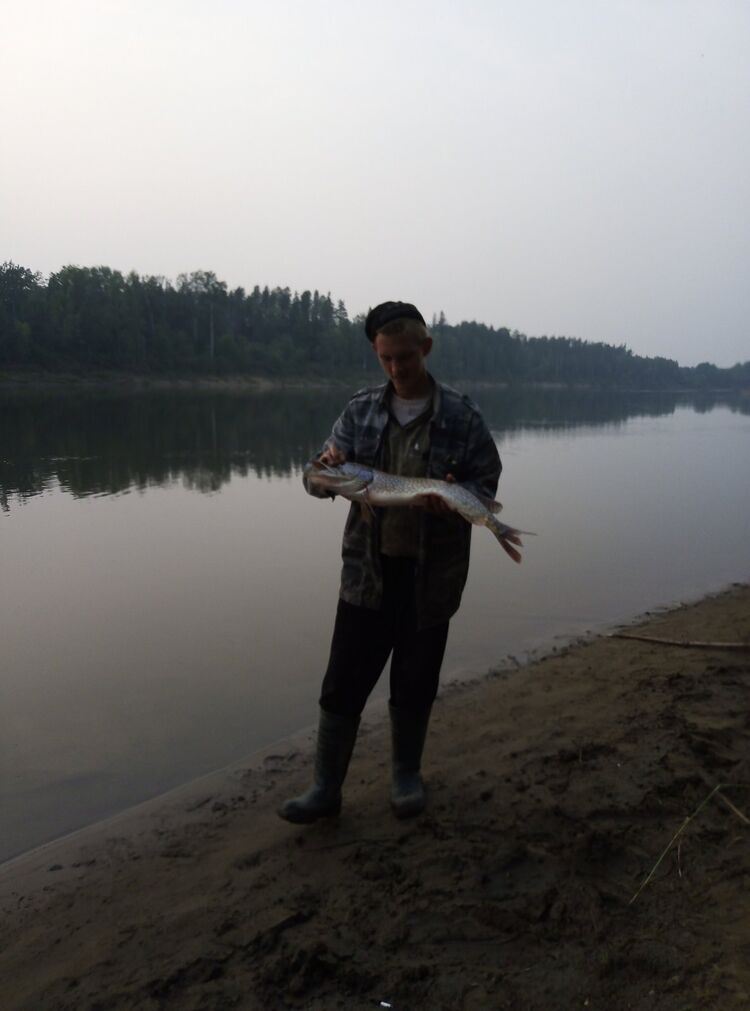 ���������� ����������, ���� ������� �������, 31 ���, ������������ ��� ������, ����� � ���������, c�������� ���������, ���������