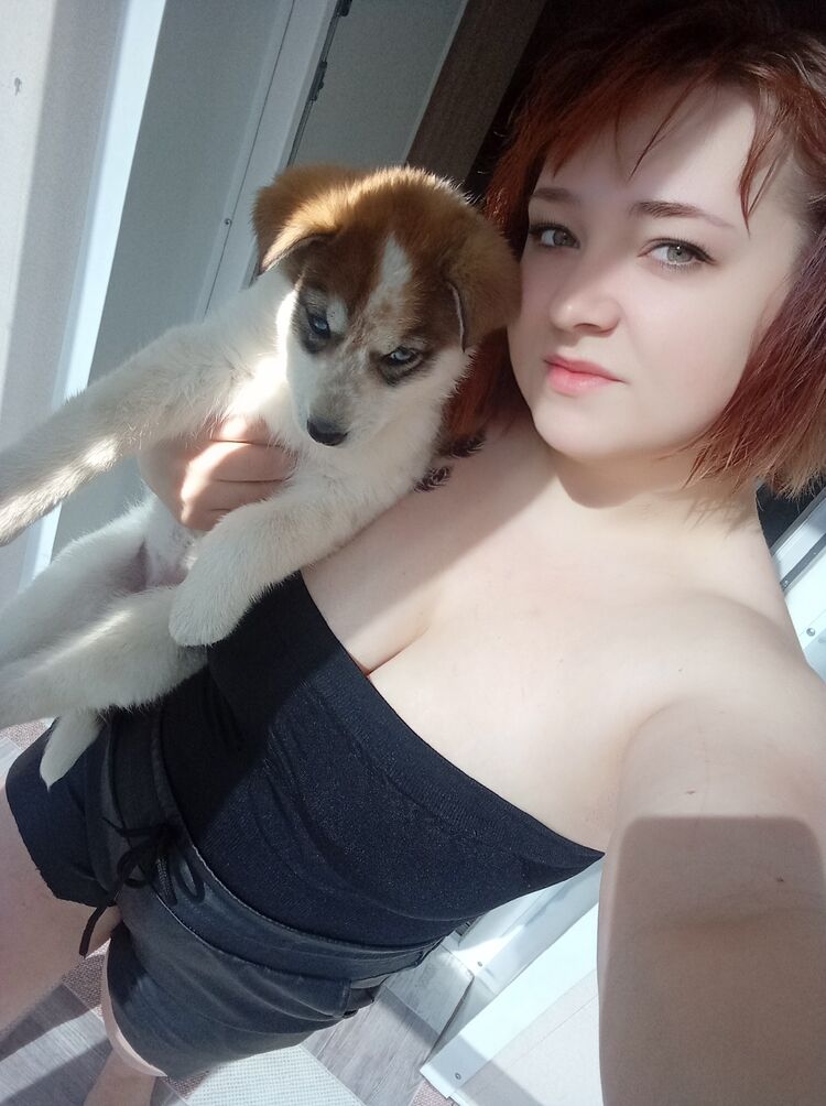  54747957  , 26 ,    -