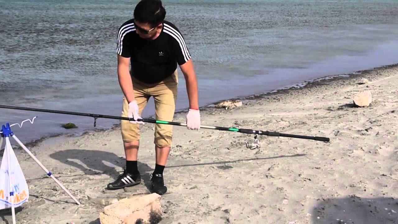 ���� 31206937 ������� ������, 39 ���, ���� ���������� � ����������