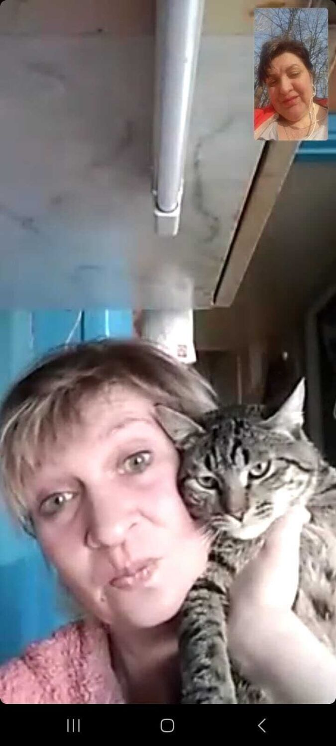 ���������� ������, ���� ������� ��������, 48 ���, ������������ ��� ������, ����� � ���������