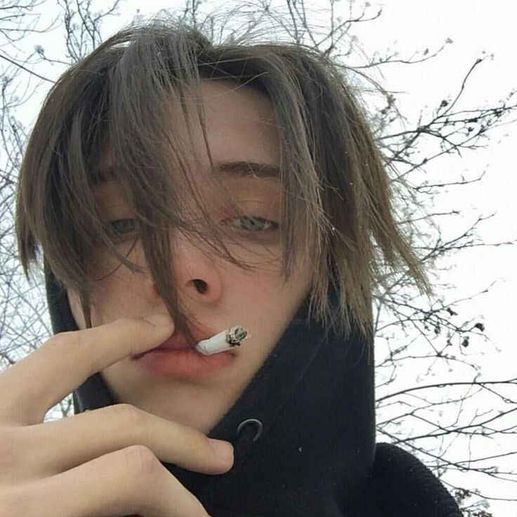 ���� 41081107 ����� ����������, 20 ���, ���� ���������� � ������