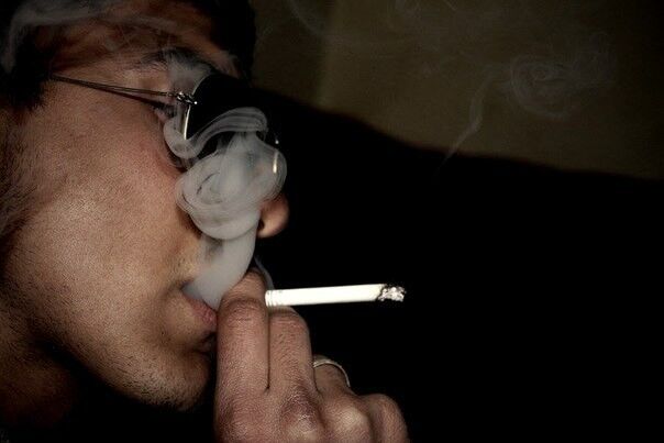 ���������� ������, ���� ������� Elmir, 29 ���, ������������ ��� ������, ����� � ���������, c�������� ���������