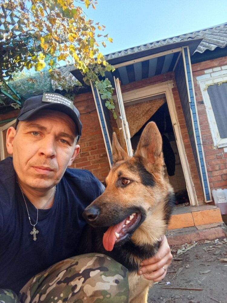 ���� 56139987 ������� ���������, 38 ���, ���� ���������� � ����������