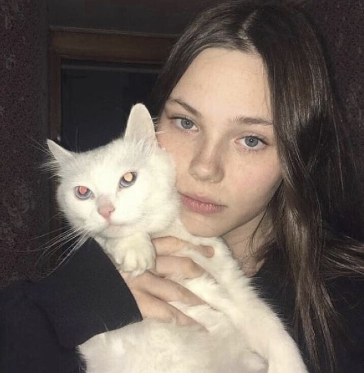 ���� 38248297 ������� �����, 20 ���, ���� ���������� � �����������