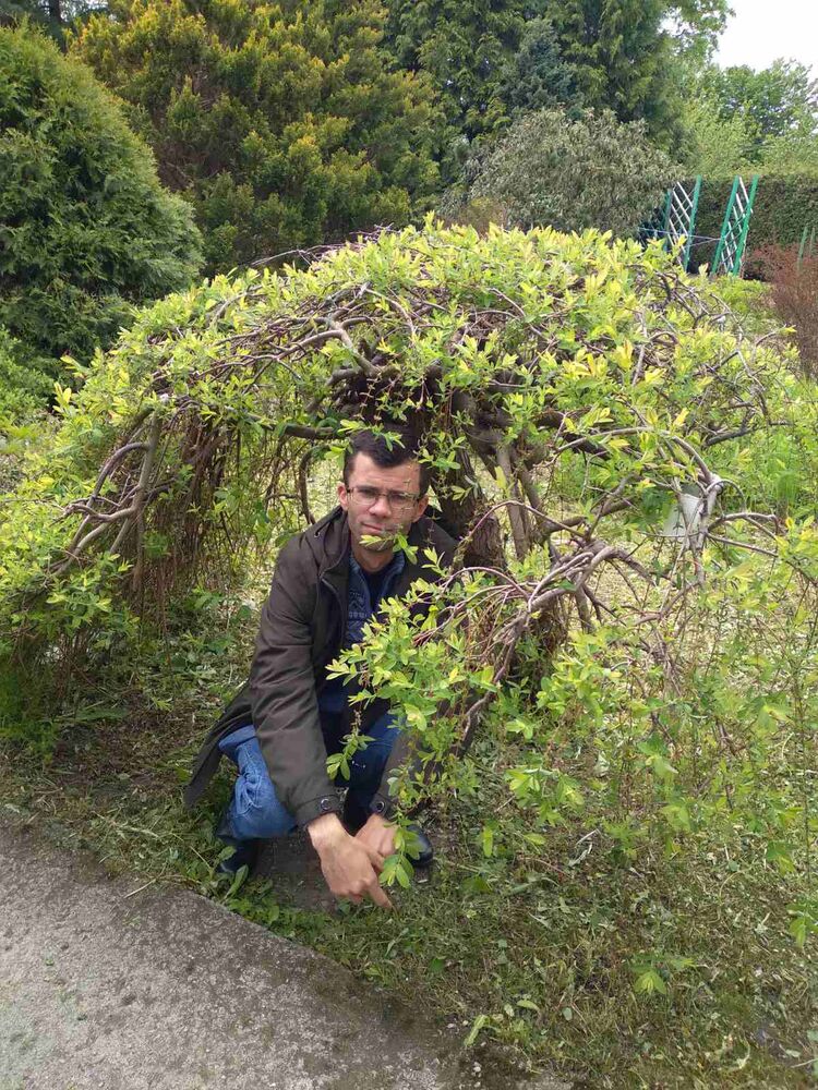 ���� 22976617 ������� ������, 47 ���, ���� ���������� � ������������