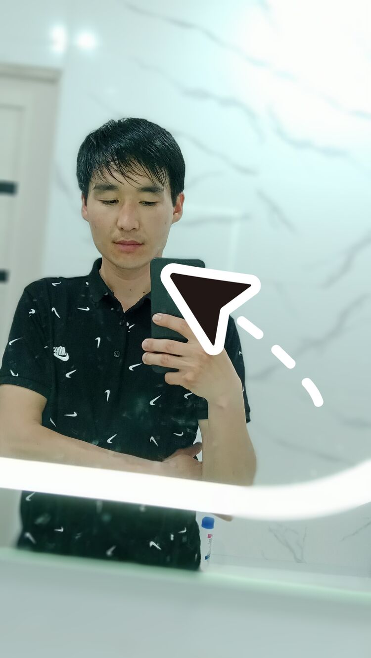  48123667  , 31 ,    