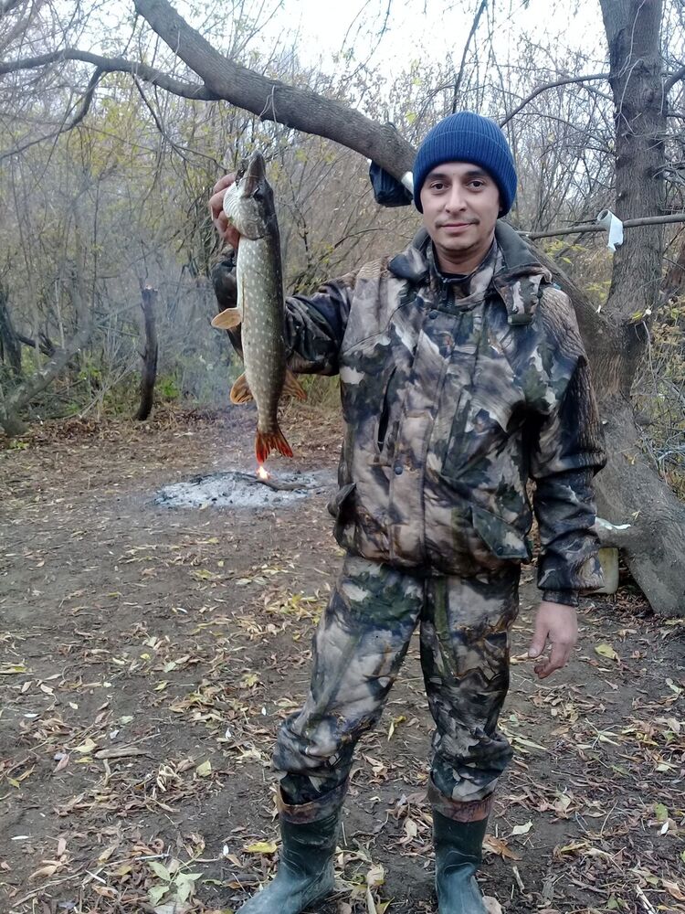   ,   , 43 ,     