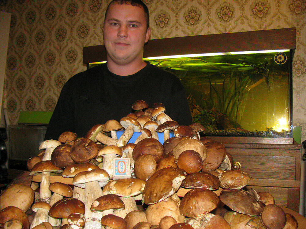 ���������� �������, ���� ������� �������, 42 ����, ������������ ��� ����� � ���������, c�������� ���������