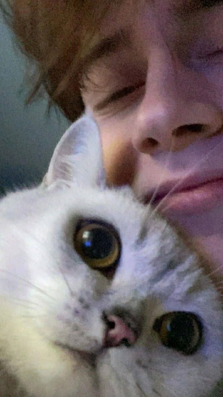  45043677  , 21 ,    -