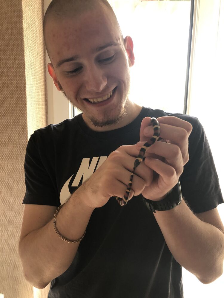 ���� 29222287 ����� ����, 24 ����, ���� ���������� � ����������