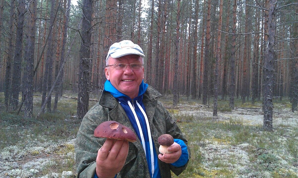 ���� 8167207 ������� ����� ����, 68 ���, ���� ���������� � ������